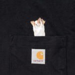Pocket Pet