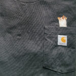 Pocket Pet